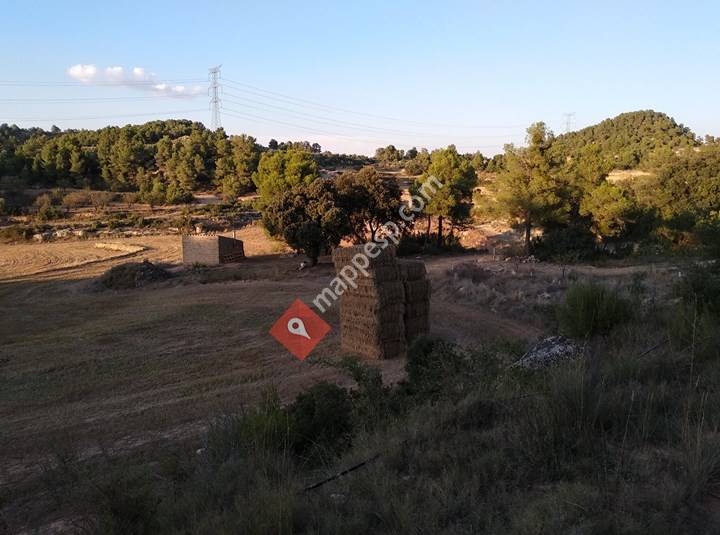 Camí de Llops