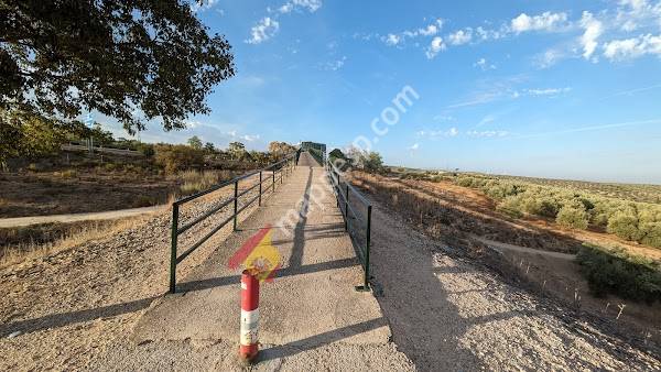 Camino Natural Vía verde del Aceite