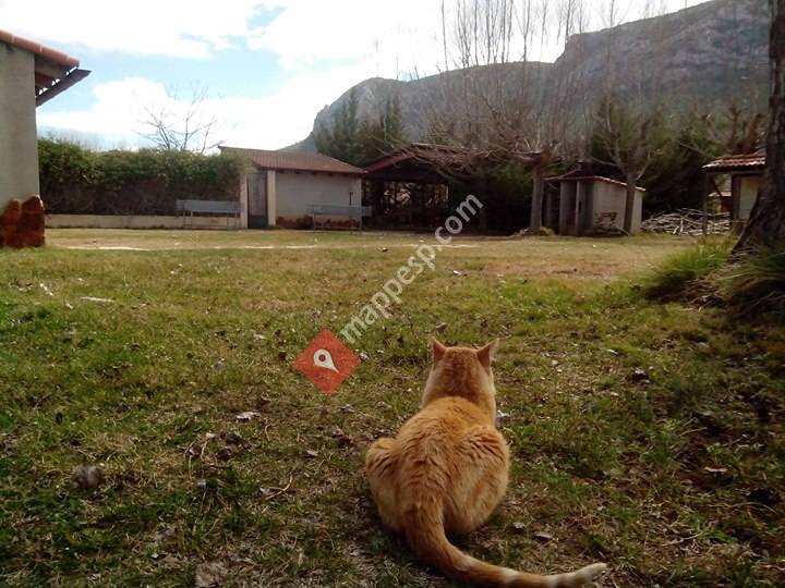 Campamento Acra Leuce