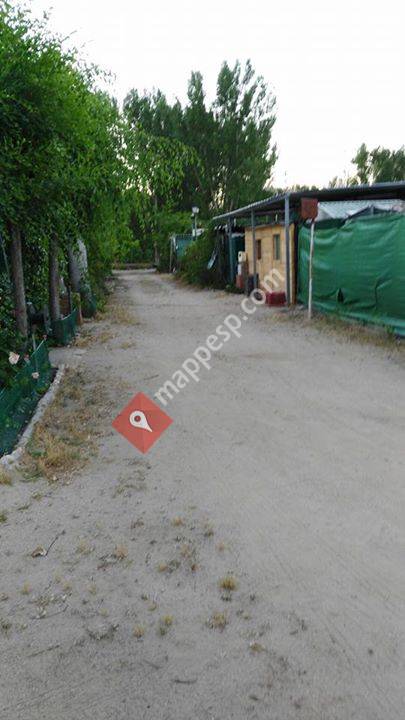 Camping Del Pozo