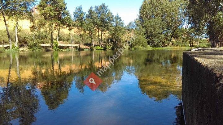 Camping REINO De LEON