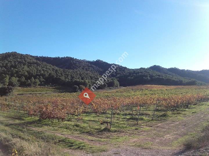 Can Mig del Món