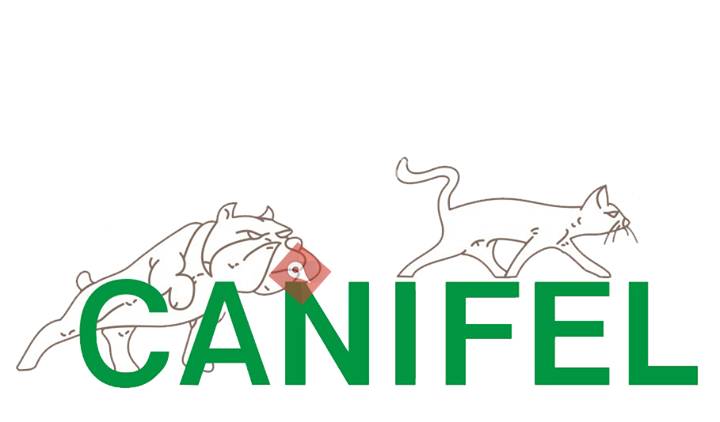 Canifel Clínica Veterinaria