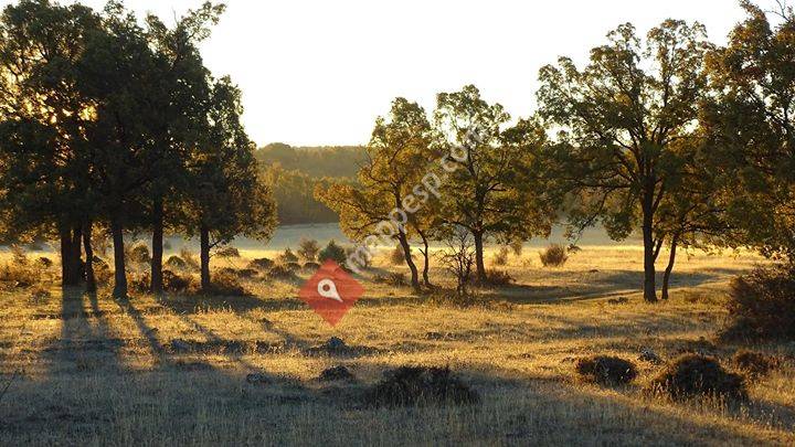 Carabias, Castilla-La Mancha, Spain