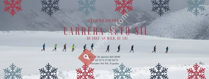Carrera Alto Sil