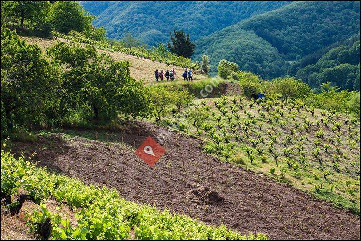 Casa de la Naturaleza de Pesaguero - Naturea Cantabria