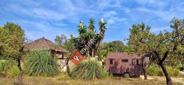 Casa del Mundo