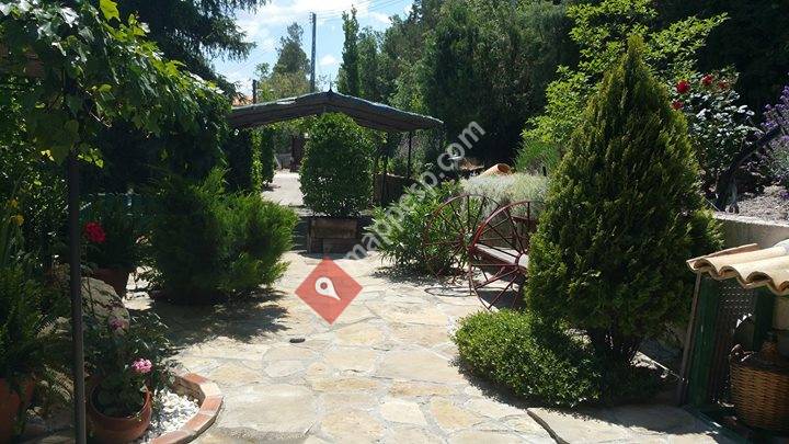 Casa Los Arcos y El Albero Turismo Rural Huesca