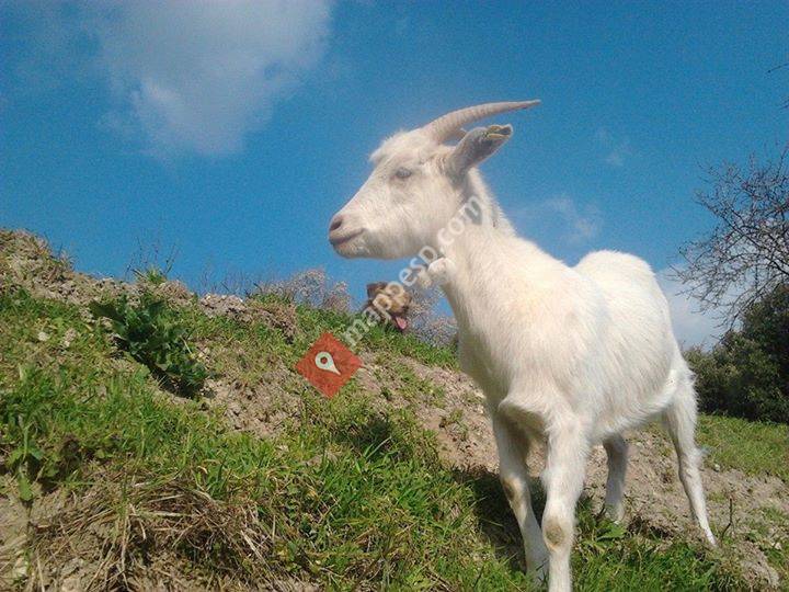 Casa Rural - Agroturismo Txandia