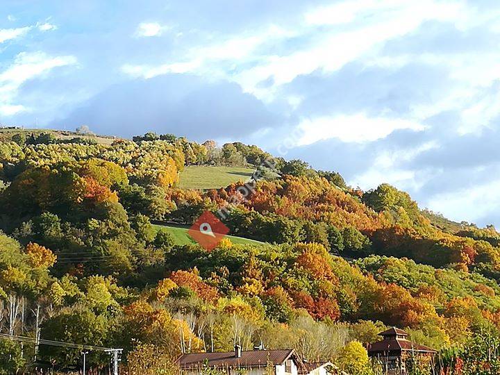Casa rural Arrileku Landetxea