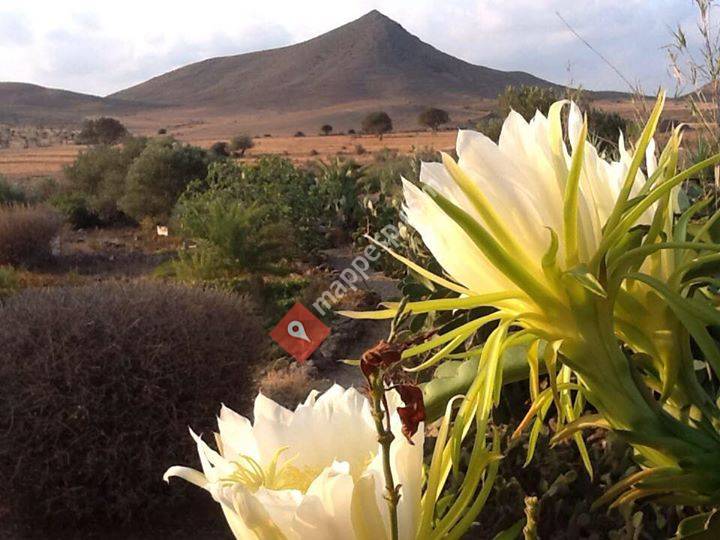 Casa Rural El Jardín de los Sueños