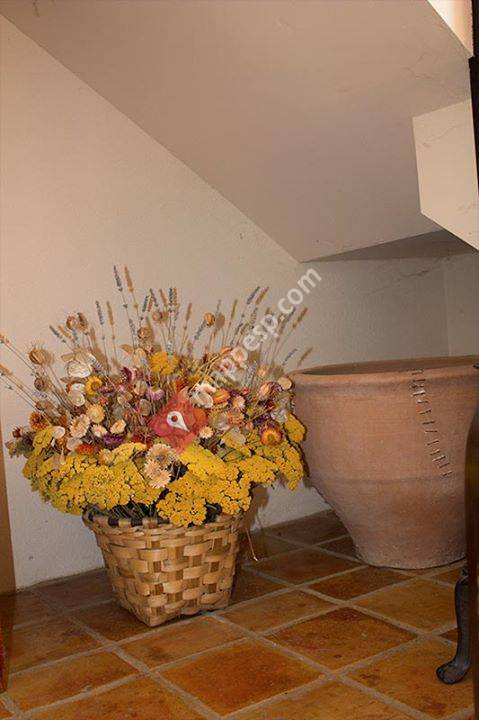 Casa Rural Lucia