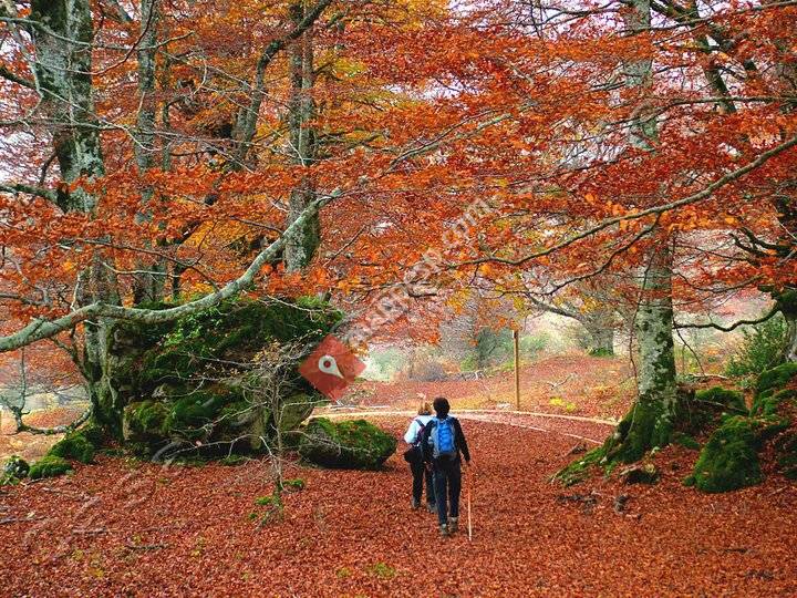 Casa Rural Urbasa Urederra