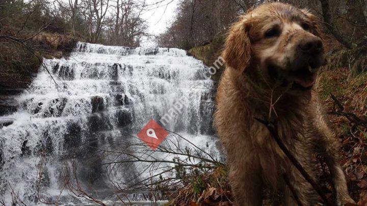 Cascada De La Salceda