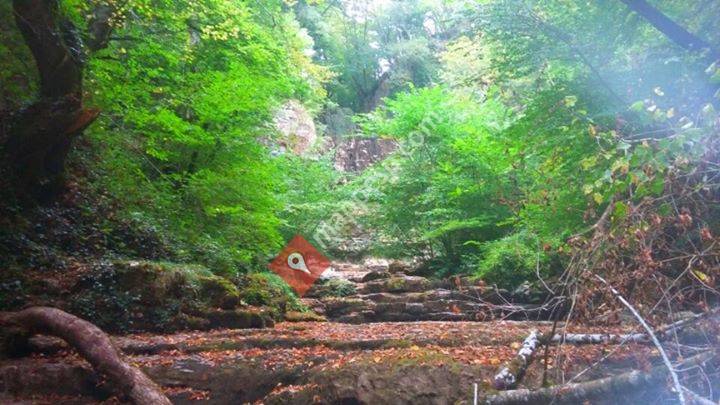 Cascada De Las Pisas