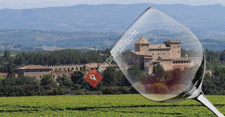 Castell de Riudabella
