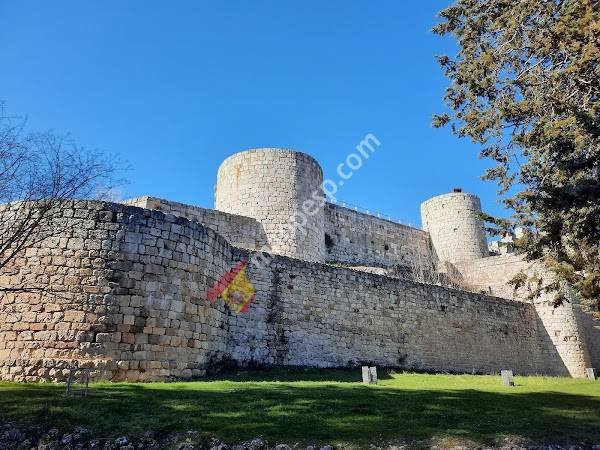 Castillo de Burgos