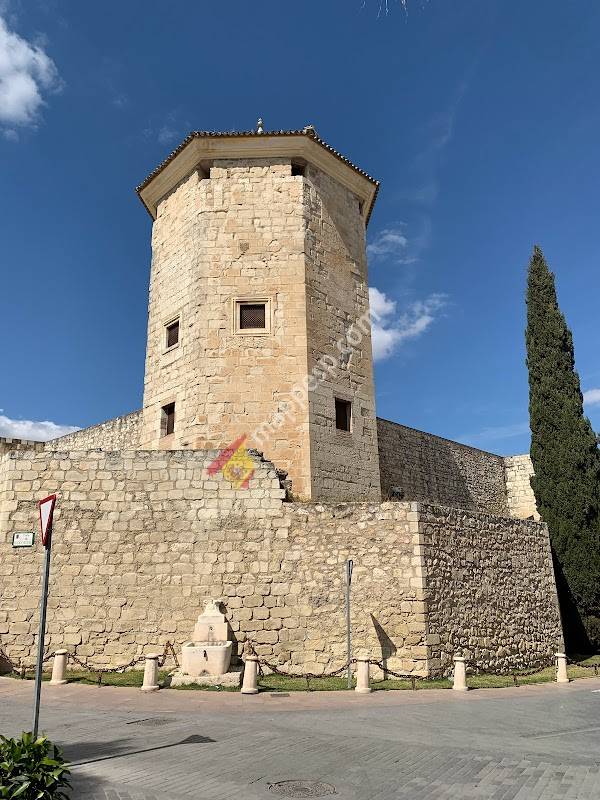 Castillo del Moral