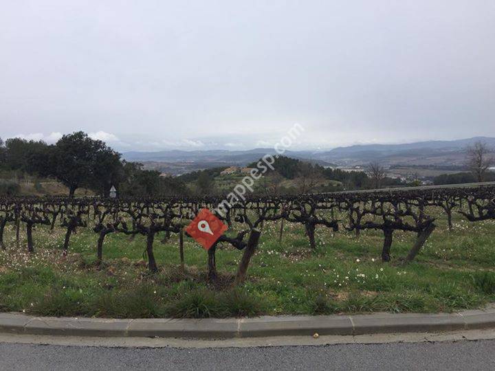 Cavas Llopart, Sant Sadurni