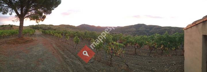 Celler Balaguer i Cabré