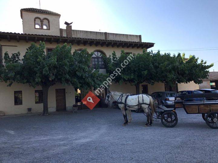 Celler Mas Foraster