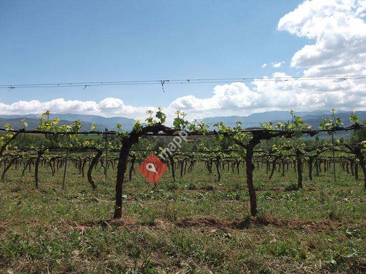Celler Vila Corona