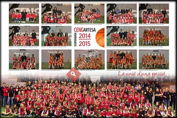 CENG Artesa de Segre