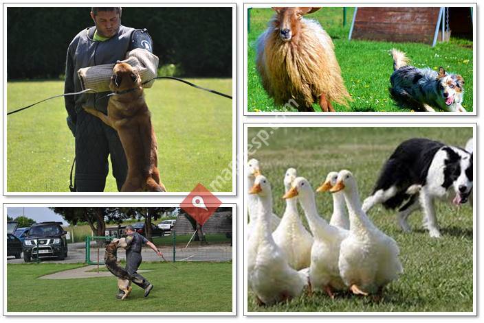 Centro Canino La Ería