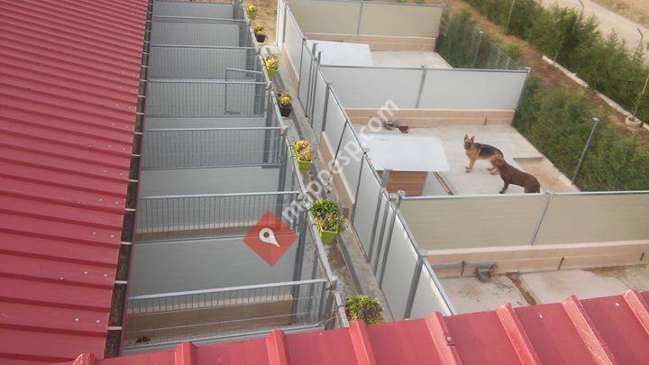 Centro Canino Majano