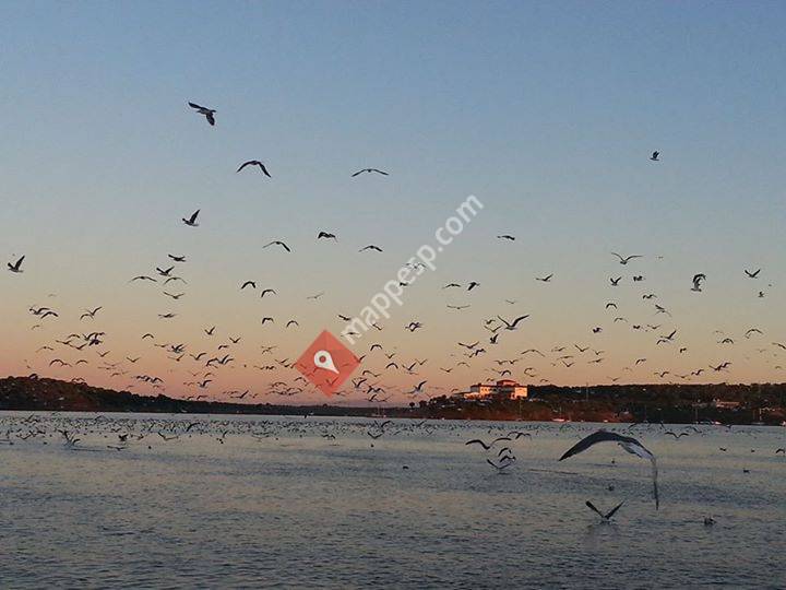 Centro de Actividades en la Naturaleza La Breña II
