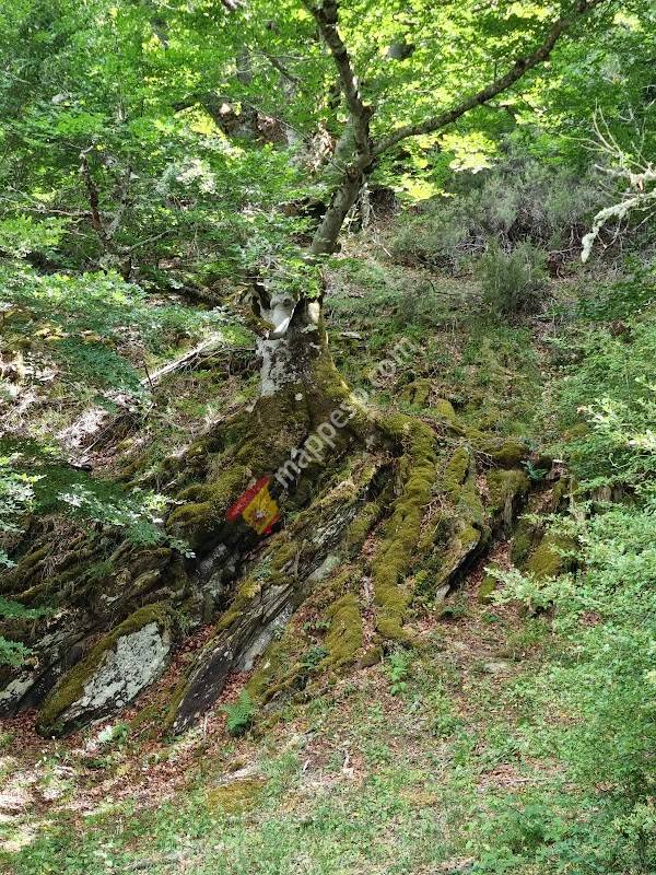 Centro de Información de la Reserva de la Biosfera Sierra del Rincón