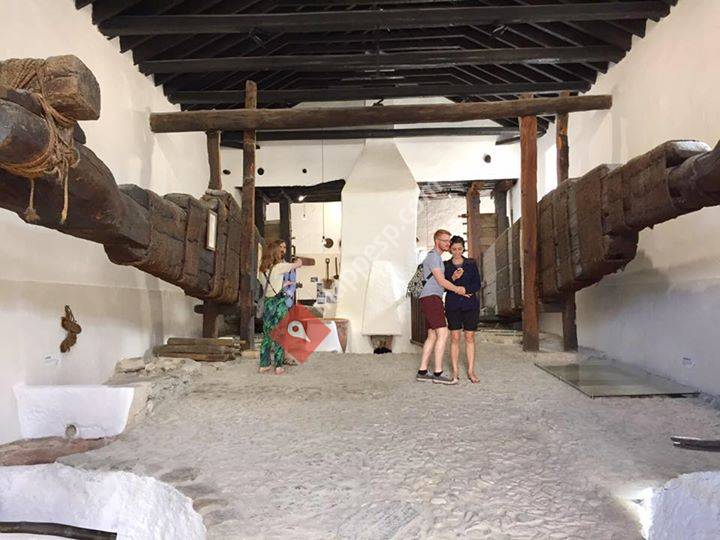 Centro de Interpretación  Almazara las Laerillas