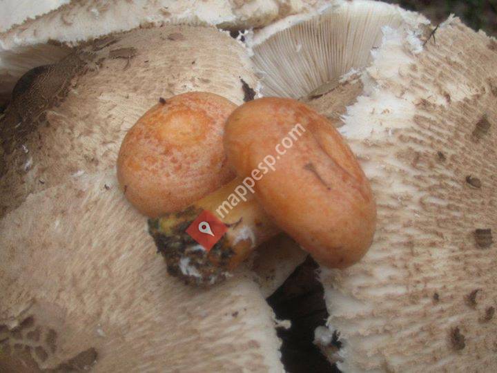 Centro de Vacaciones Ligüerre de Cinca