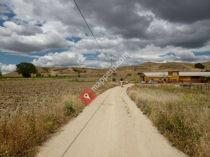 Centro Doma Clásica El Remolino