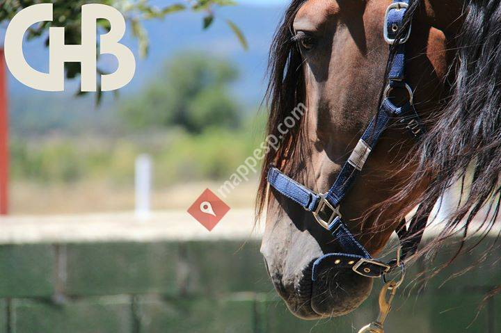 Centro Hípico Buitrago