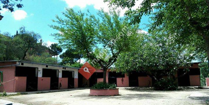 Centro Hipico La Posta