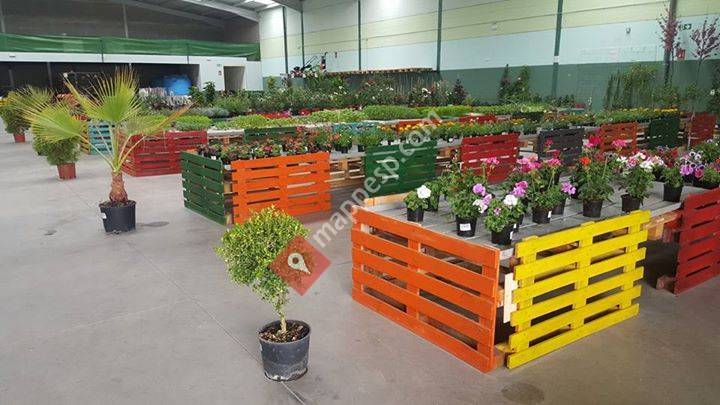 Centro Jardinería Fundación Chacón Sánchez