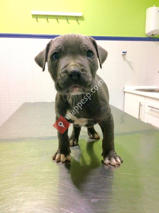 Centro Veterinario Barcia Salud Animal