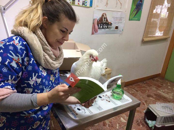 Centro Veterinario de Aldea
