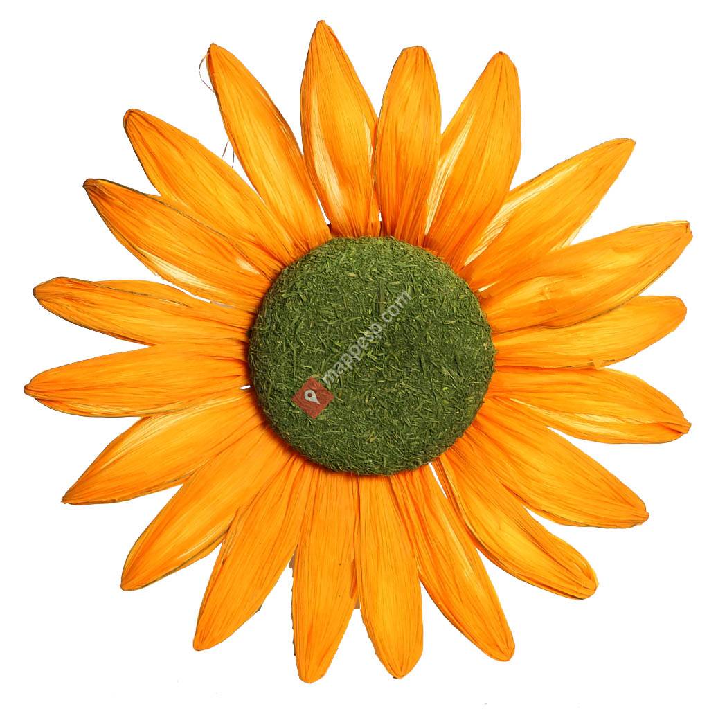 florcaldas.com