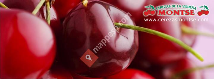 Cerezas Montse