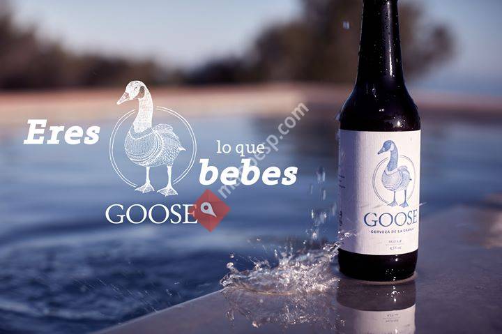 Cerveza Goose