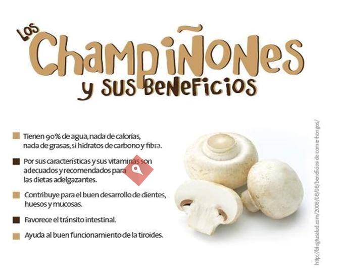 Champi Puig