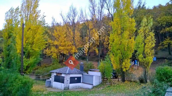 Chiringuito Fuente del Cura