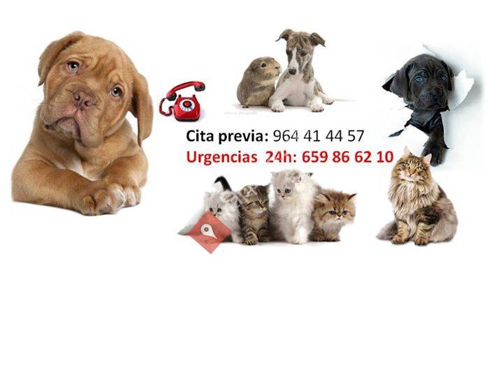 Clínica Veterinaria Alcossebre