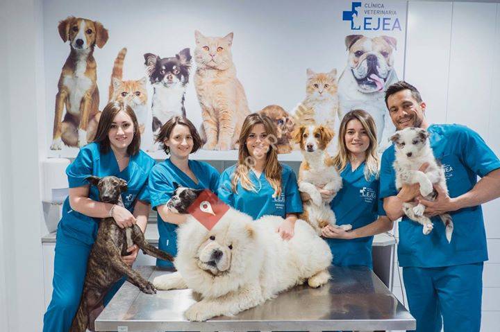 Clínica Veterinaria Ejea