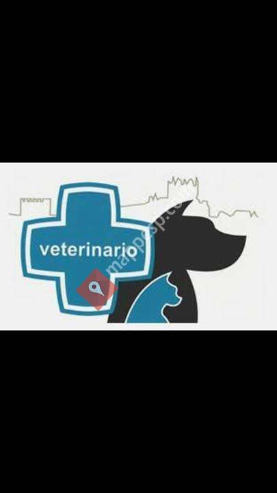 Clínica Veterinaria 