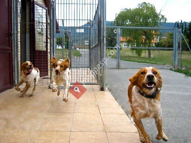 Clínica Veterinaria Nanclares