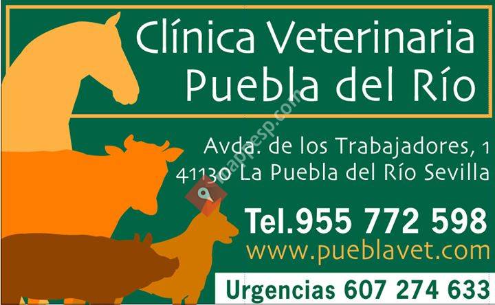 Clínica Veterinaria Puebla del Río