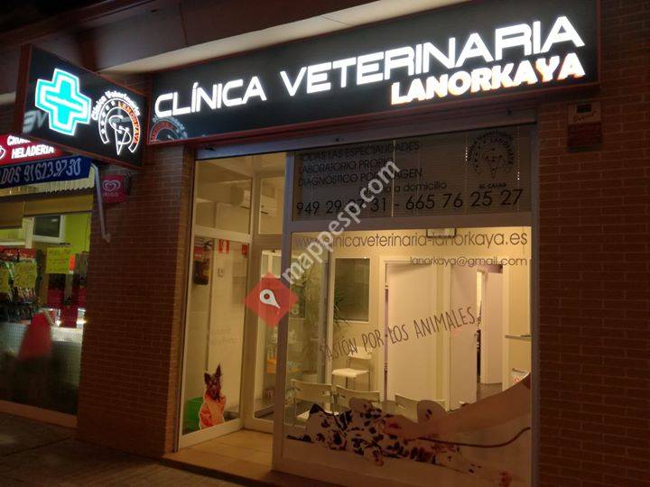 clinica veterinaria 